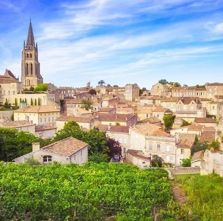 Гостевой дом Superbe A Proximite De St Emilion Avec Jacuzzi Privatif *